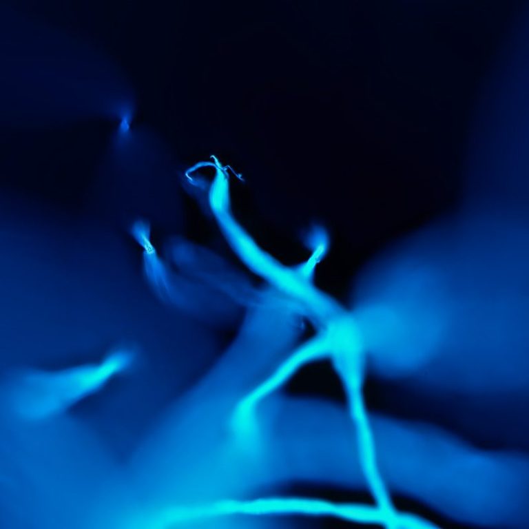 Mikrofoto von Fusseln (Wäschetrockner), ultraviolettes Licht, 3, Bildbreite = 1,1 mm