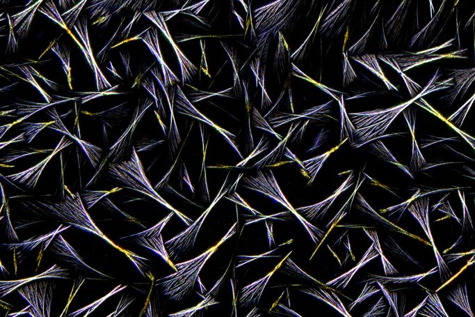 Mikrofoto von Caesiumchlorid mit Kupferchlorid, Mikrokristalle im polarisierten Licht, 1, Bildbreite = 1,1 mm