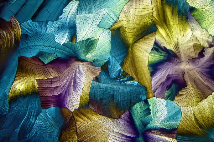 Mikrofotografie von Äpfelsäure (Lebensmittelzusatzstoff E296), Mikrokristalle im polarisierten Licht, 1, Bildbreite = 1,1 mm