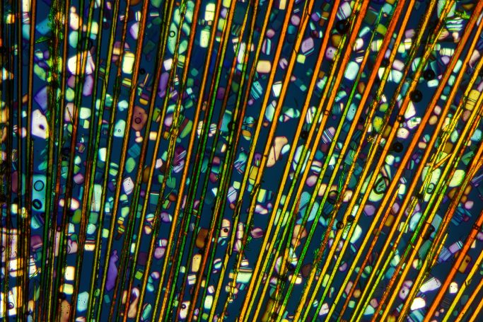 Mikrofoto von Caesiumchlorid mit Magnesiumchlorid, Mikrokristalle im polarisierten Licht,2 , Bildbreite = 0,65 mm