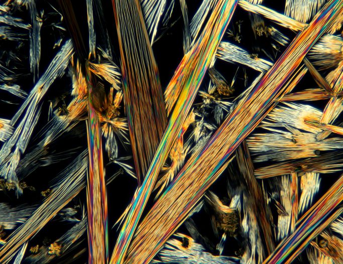 Mikrofotografie von Coffein, Mikrokristalle im polarisierten Licht, 2, Bildbreite = 0,9 mm