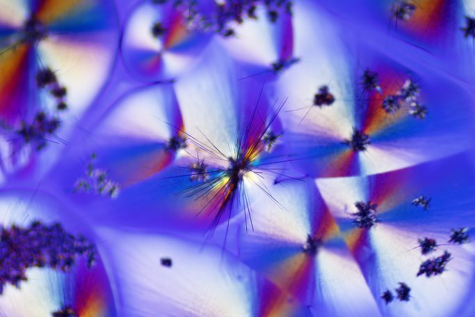 Mikrofotografie von Menthol (Duft- und Aromastoff), Mikrokristalle im polarisierten Licht, Bildbreite = 0,85 mm