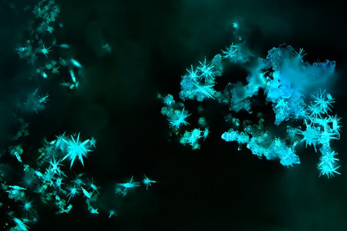 Mikrofotografie von Theobromin (Kakao), Mikrokristalle im ultravioletten Licht, 1, Bildbreite = 0,5 mm