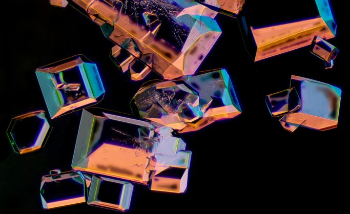 Mikrofotografie von Zucker, Mikrokristalle mit Rheinbergfilter, 5.2, Bildbreite&nbsp;=&nbsp;1,5&nbsp;mm