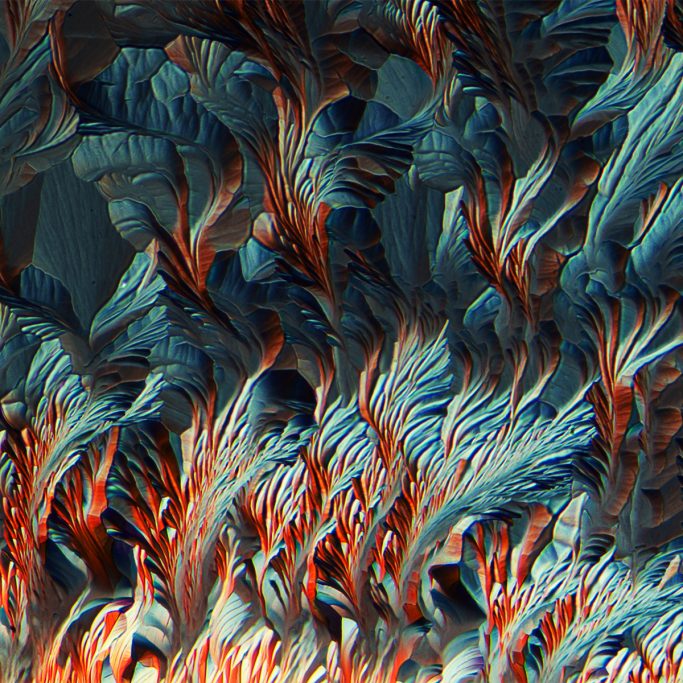 Mikrofoto von Beta Alanin und L-Glutamin, Mikrokristalle im polarisierten Licht, 6, Bildbreite = 1,75 mm