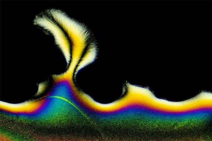Mikrofoto von Ascorbinsäure (Vitamin C), Mikrokristalle im polarisierten Licht, 1, Bildbreite = 1,0 mm