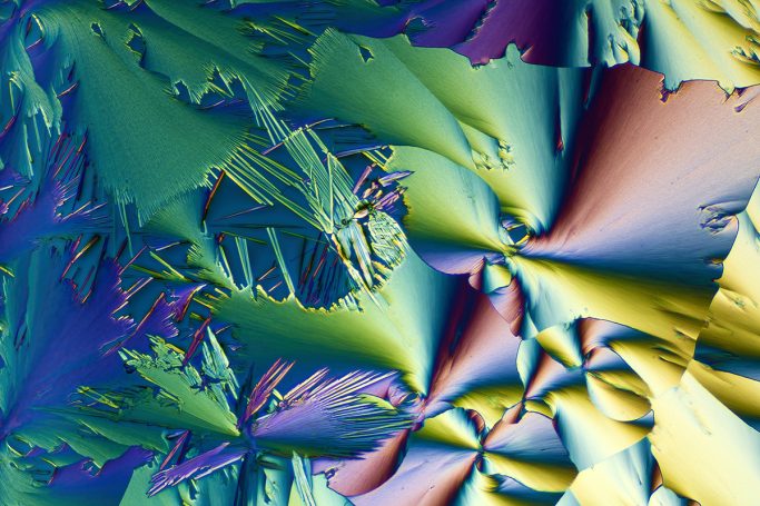 Mikrofoto von GABA, Mikrokristalle im polarisierten Licht, 2, Bildbreite = 1,7 mm