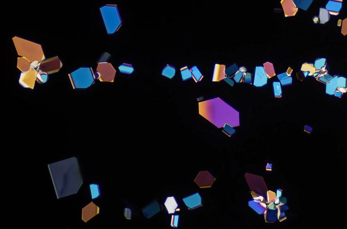 Mikrofotografie von Zucker, Mikrokristalle im polarisierten Licht, 5.1, Bildbreite&nbsp;=&nbsp;1,5&nbsp;mm