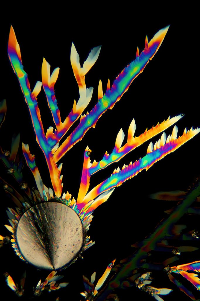 Mikrofoto - Blick in den Mikrokosmos. Schwefel in Öl, Mikrokristalle im polarisierten Licht, 1, Bildbreite = 0,6 mm