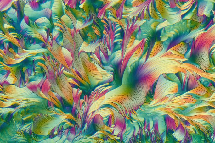 Mikrofoto von Beta Alanin und L-Glutamin, Mikrokristalle im polarisierten Licht, 3, Bildbreite = 1,75 mm