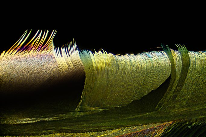 Mikrofoto von Alaun (Blutstiller) mit Harnstoff, Mikrokristalle im polarisierten Licht, 1, Bildbreite = 4,4  mm