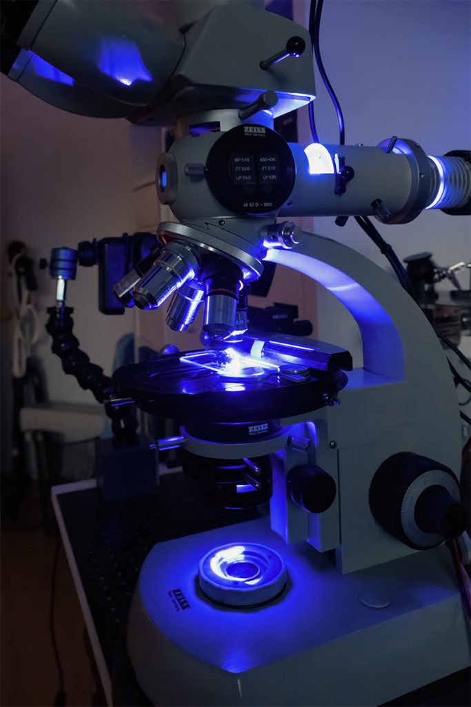 Mikroskop für Fluoreszenzaufnahmen