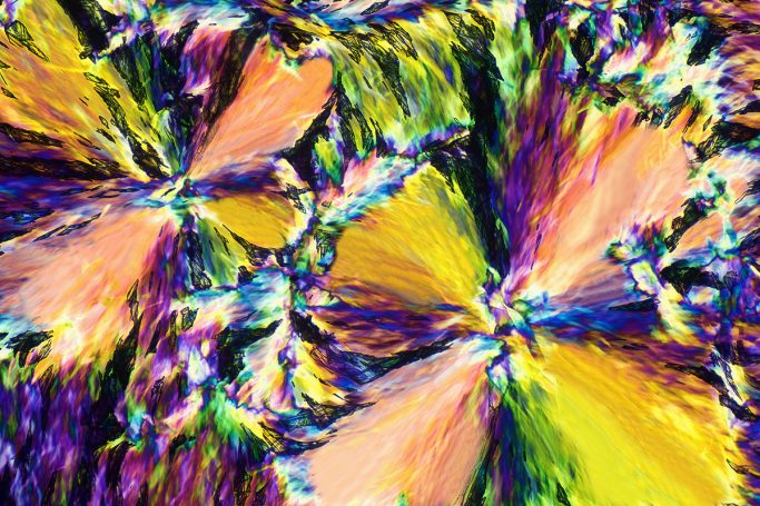 Mikrofoto von Menthol (Mundwasser, Salben u.a.), Mikrokristalle im polarisierten Licht, Bildbreite = 1,7 mm